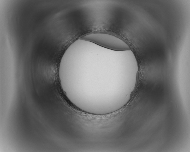X0000116430043200912081533