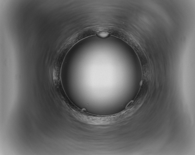 X0000116430044200912081533