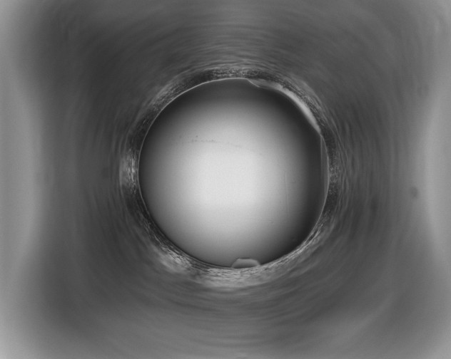 X0000116430045200912081533