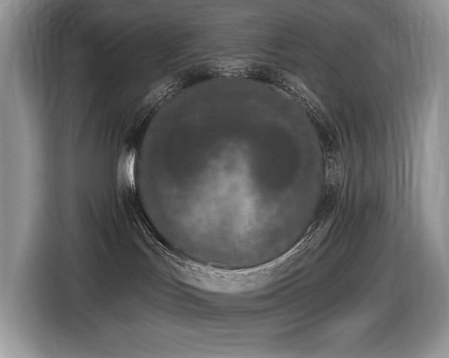 X0000116430047200912081533