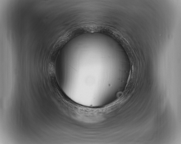 X0000116430048200912081533