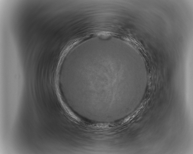 X0000116430049200912081533