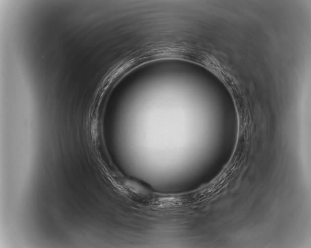 X0000116430050200912081533