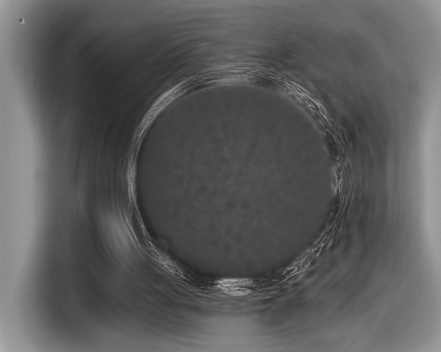X0000116430051200912081533