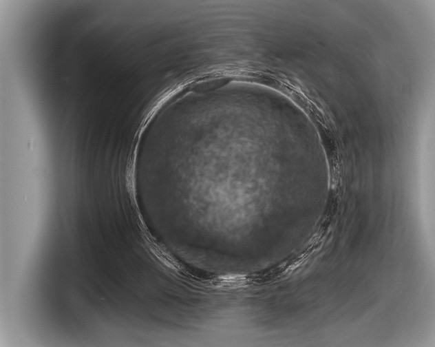 X0000116430052200912081533