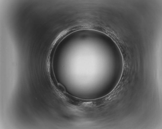 X0000116430054200912081533