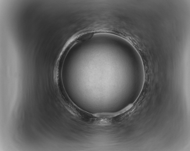X0000116430056200912081533