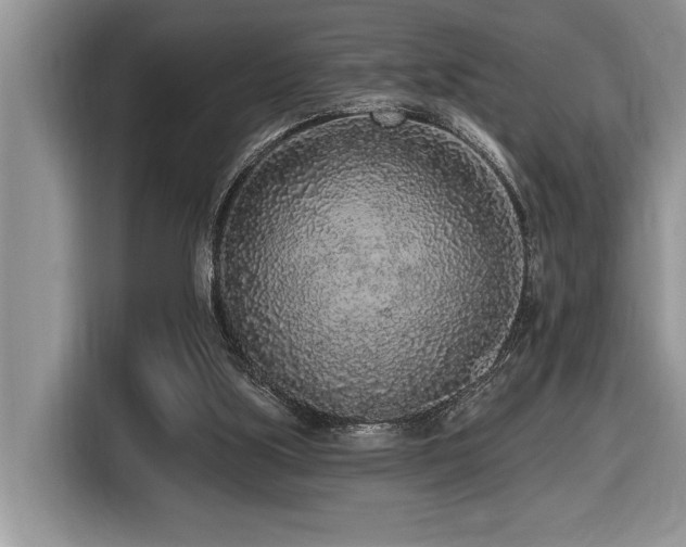 X0000116430059200912081533