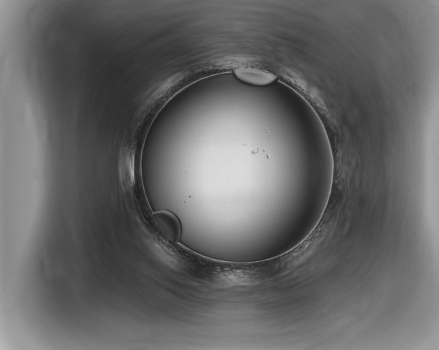 X0000116430062200912081533