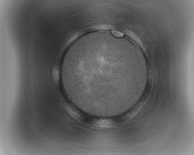 X0000116430063200912081533