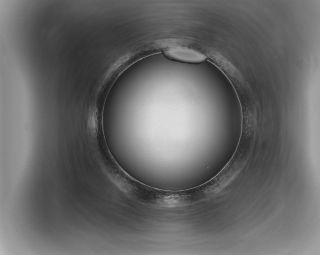 X0000116430064200912081533