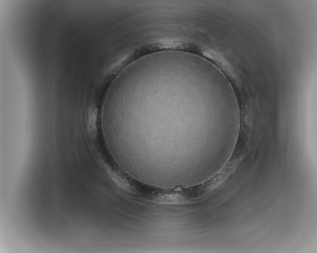 X0000116430066200912081533