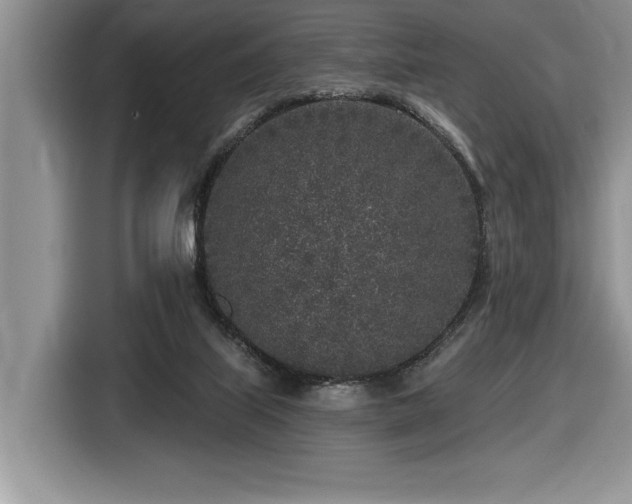 X0000116430067200912081533