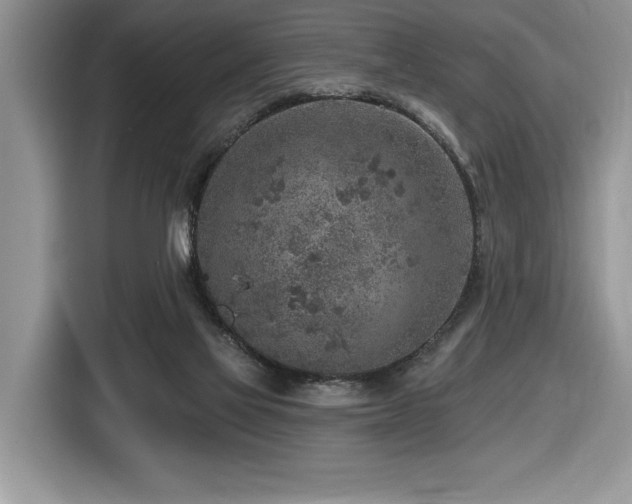 X0000116430069200912081533