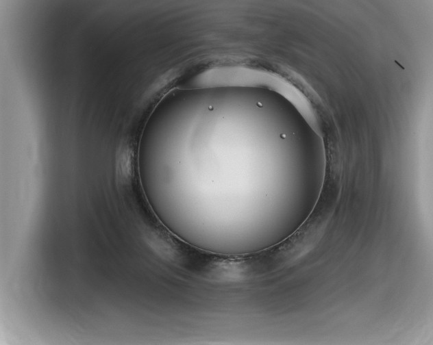 X0000116430071200912081533