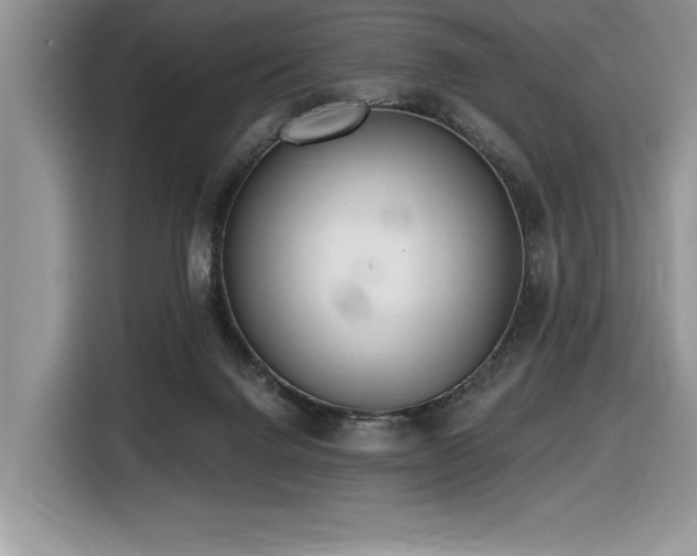 X0000116430072200912081533