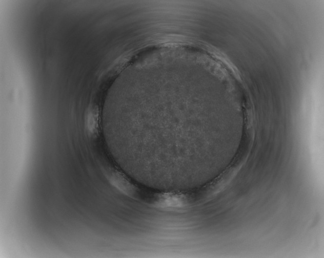 X0000116430073200912081533