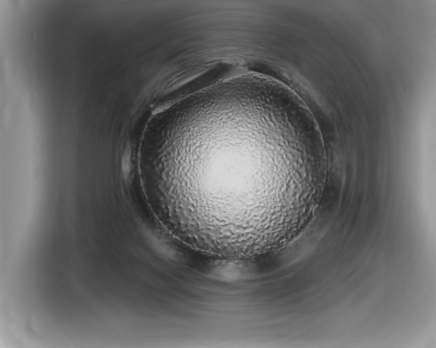 X0000116430074200912081533