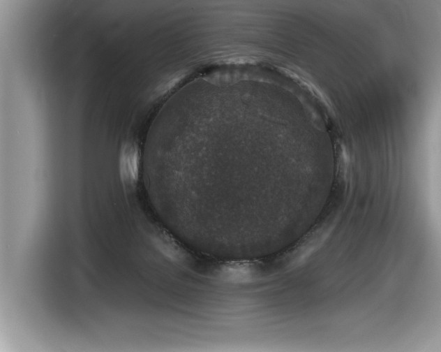 X0000116430076200912081533