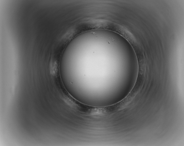 X0000116430077200912081533
