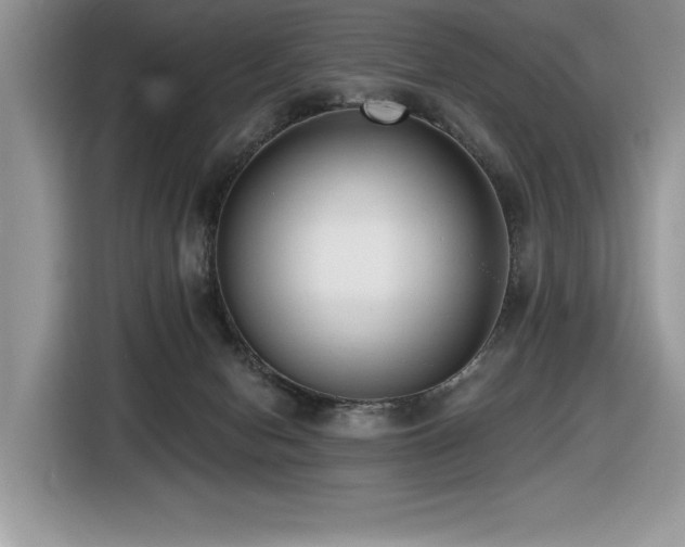 X0000116430078200912081533