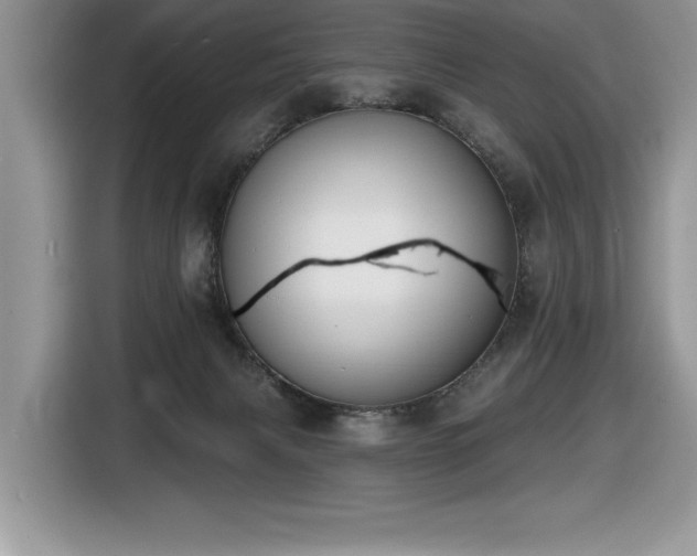 X0000116430079200912081533