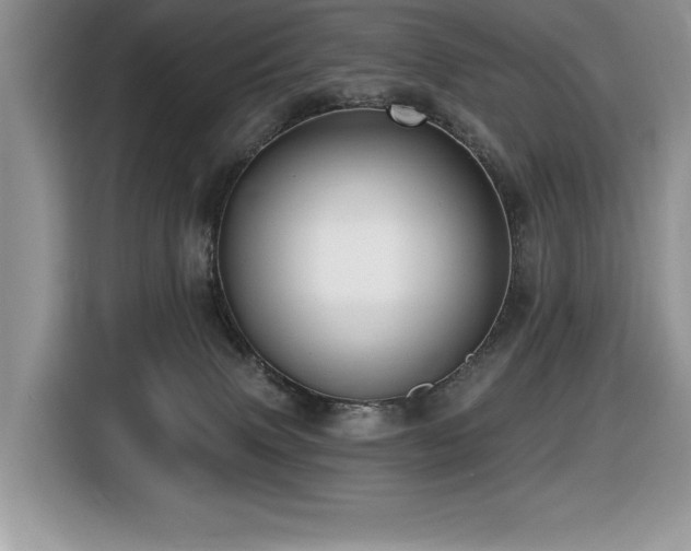 X0000116430083200912081533