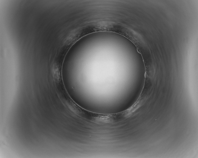 X0000116430086200912081533