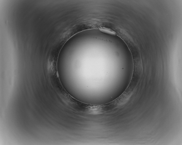 X0000116430088200912081533