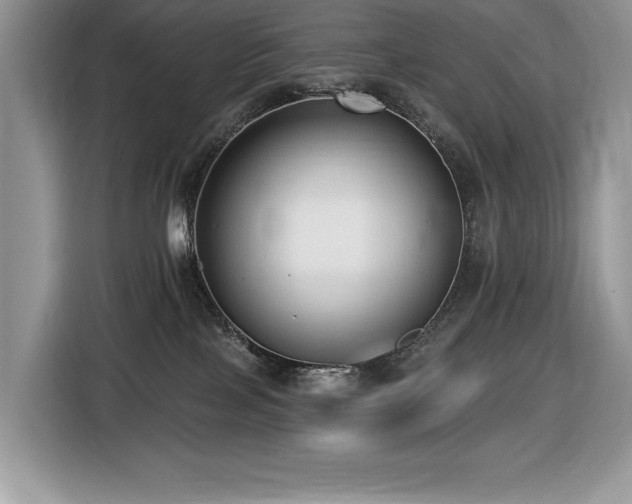 X0000116430089200912081533