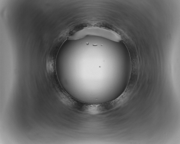 X0000116430090200912081533
