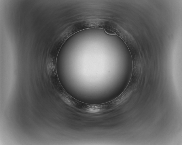 X0000116430091200912081533