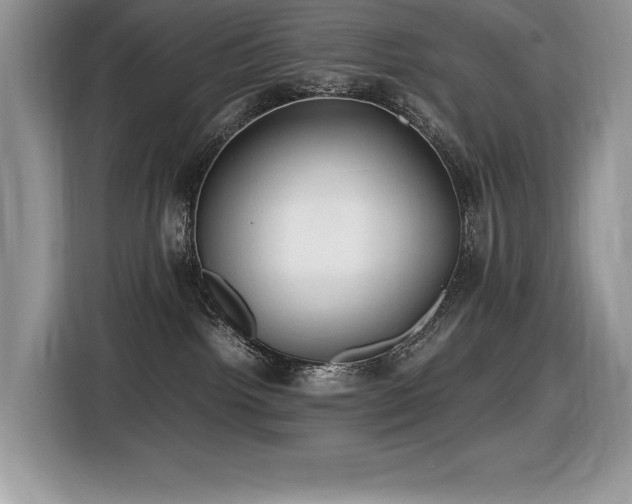 X0000116430092200912081533
