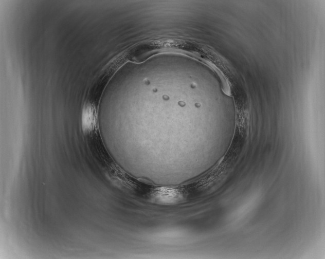 X0000116430095200912081533