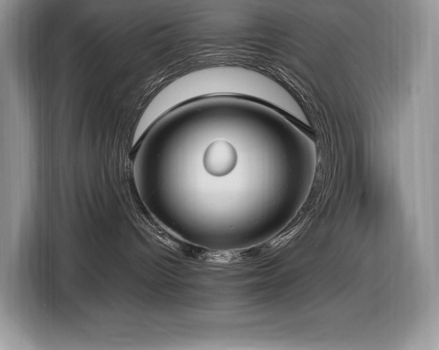 X0000116430096200912081533