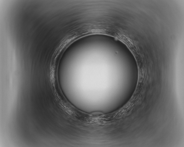 X0000116430098200912081533
