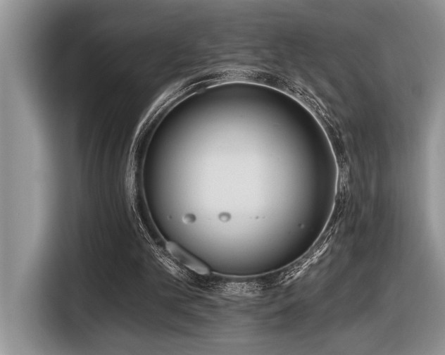 X0000116430101200912081533