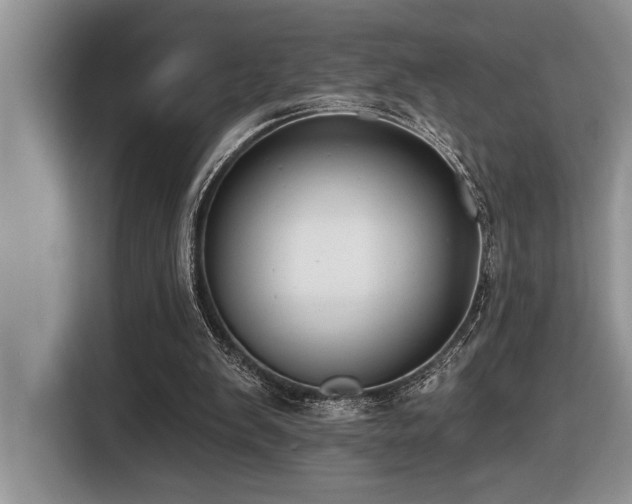 X0000116430103200912081533