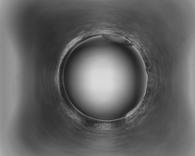 X0000116430104200912081533