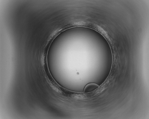 X0000116430106200912081533