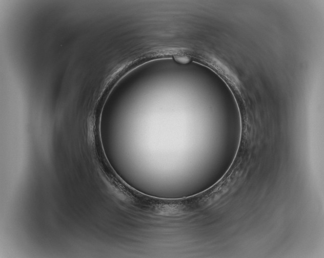 X0000116430107200912081533