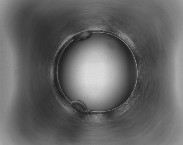X0000116430108200912081533