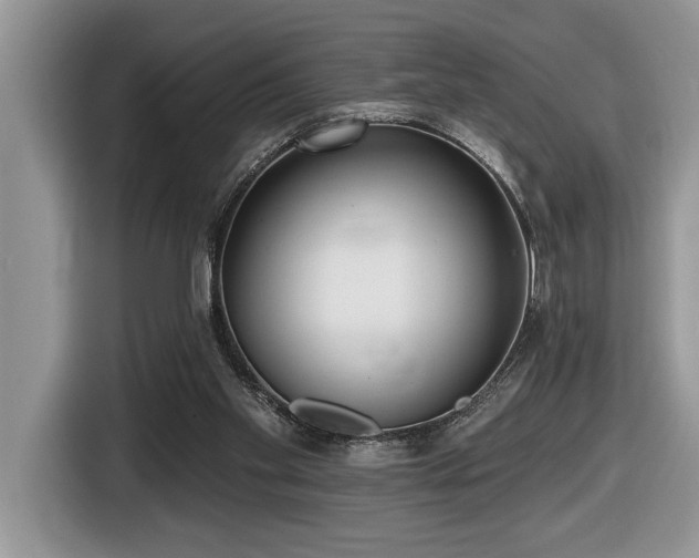 X0000116430109200912081533