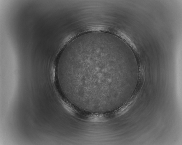 X0000116430110200912081533