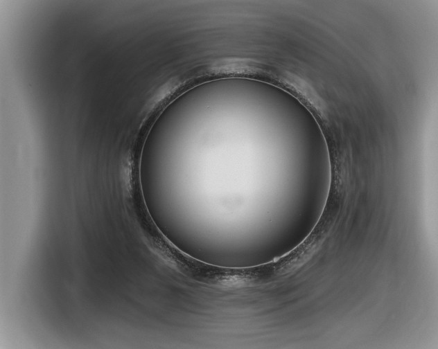 X0000116430111200912081533
