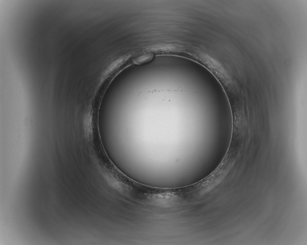 X0000116430112200912081533
