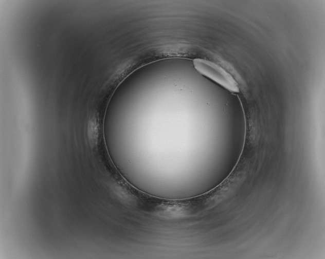 X0000116430113200912081533