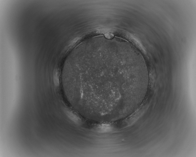 X0000116430114200912081532