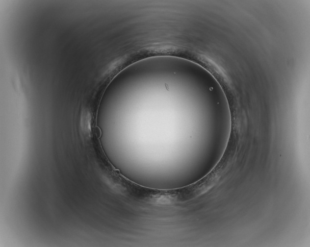 X0000116430115200912081532