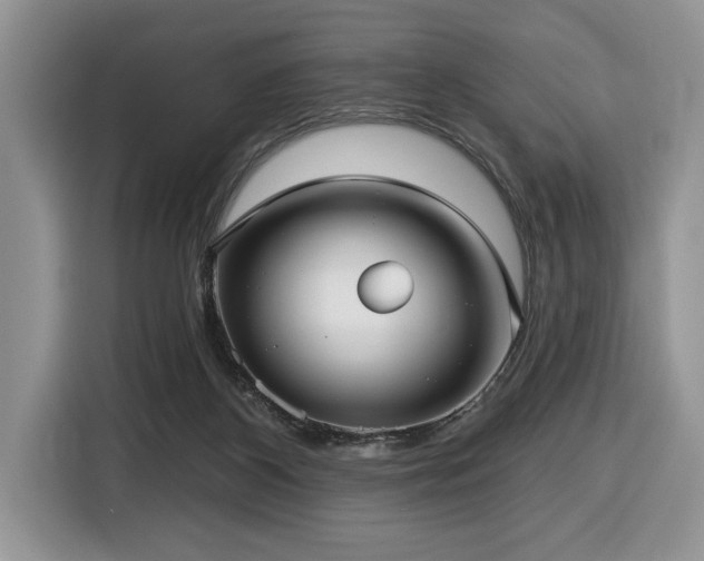 X0000116430116200912081532